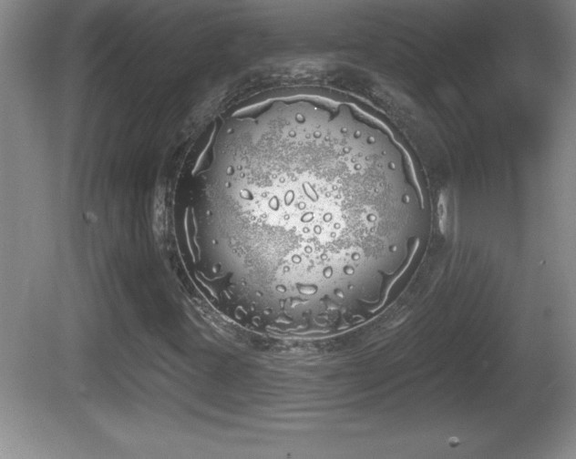 X0000081601395200701221124