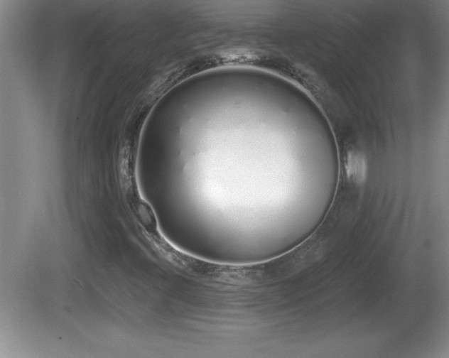 X0000081601396200701221124