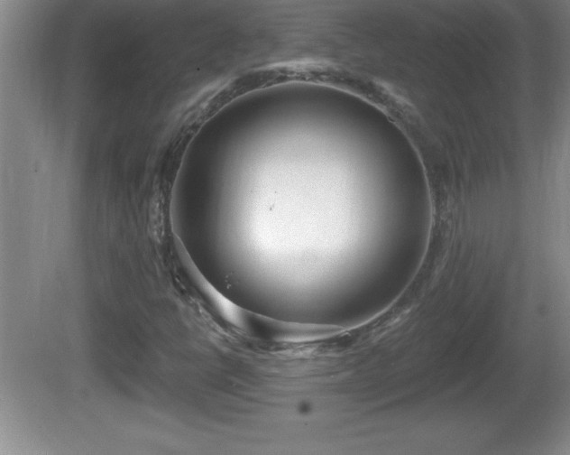 X0000081601398200701221124