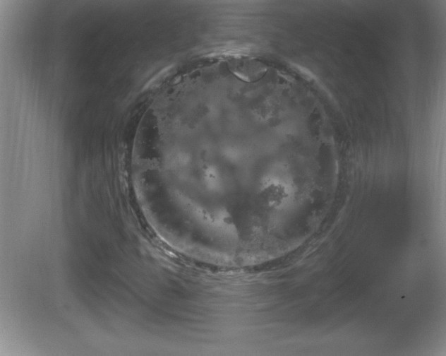 X0000081601399200701221124