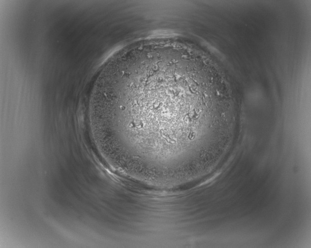 X0000081601401200701221124