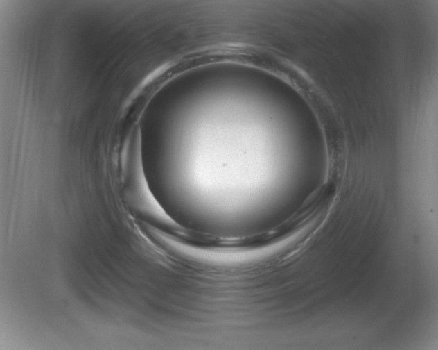 X0000081601402200701221124