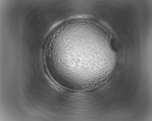 X0000081601404200701221124