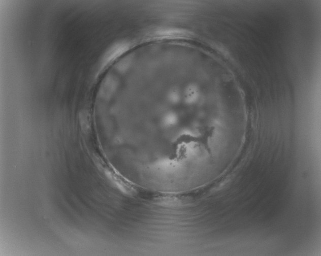 X0000081601405200701221124