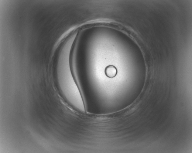 X0000081601406200701221124