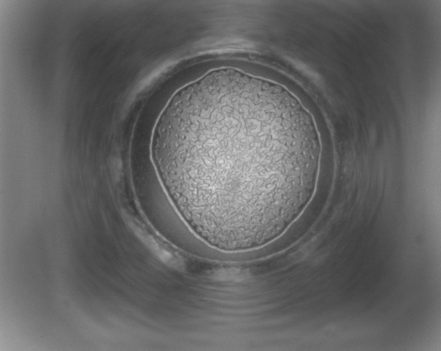 X0000081601407200701221124