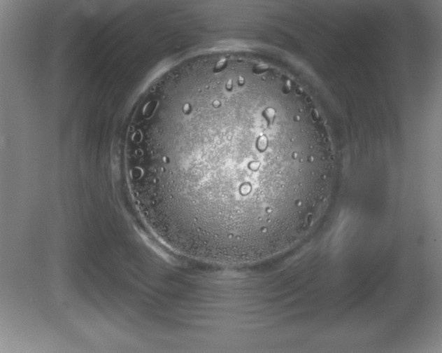 X0000081601409200701221124