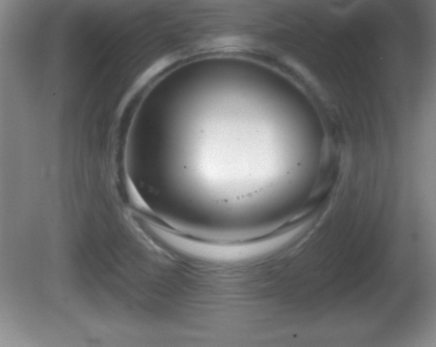 X0000081601410200701221124