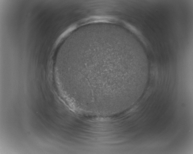 X0000081601411200701221124