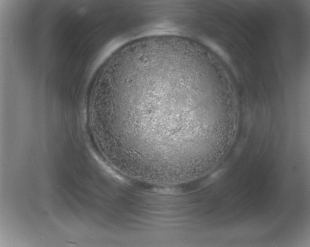 X0000081601415200701221125