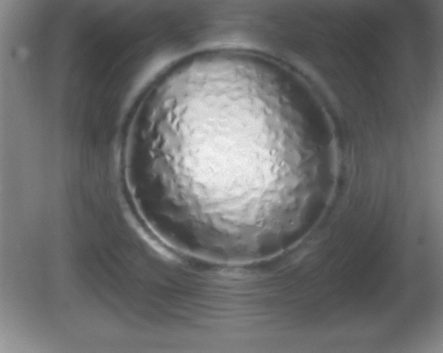 X0000081601416200701221125