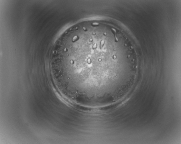 X0000081601417200701221125