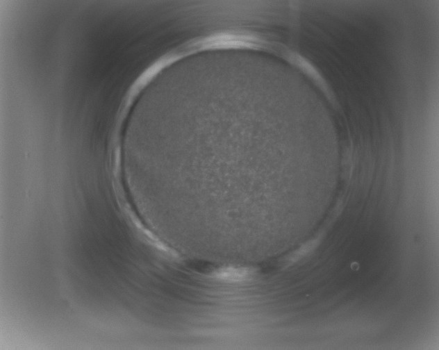 X0000081601419200701221125