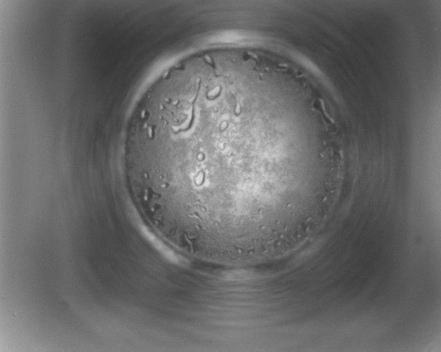 X0000081601421200701221125