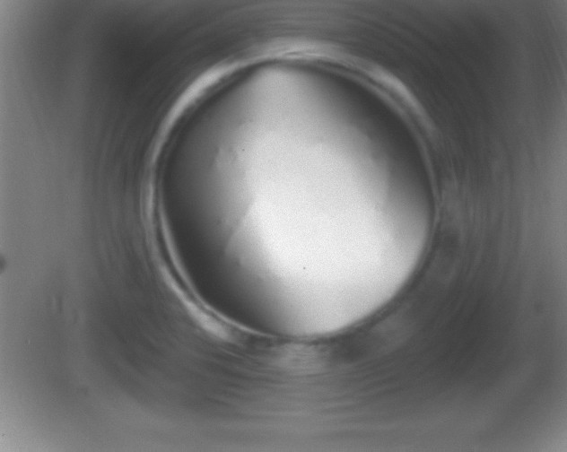 X0000081601424200701221125