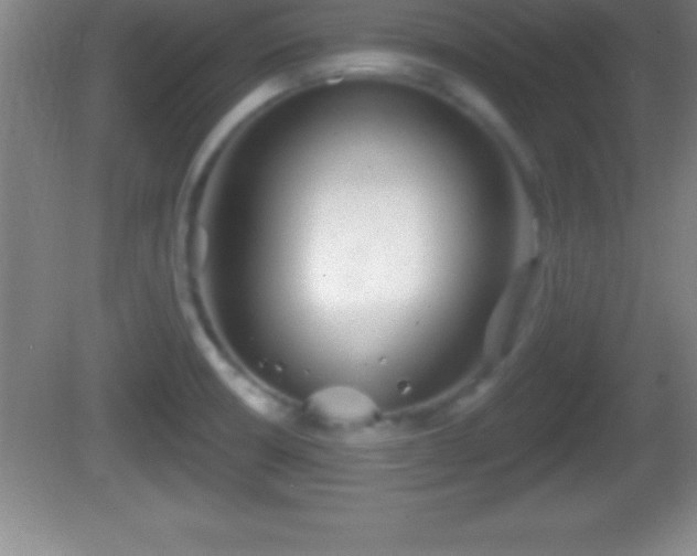 X0000081601426200701221125