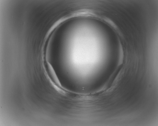 X0000081601430200701221125