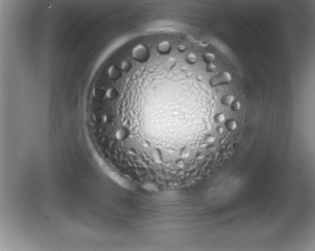 X0000081601431200701221125