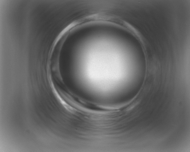 X0000081601434200701221125