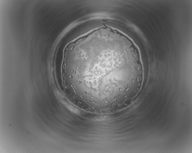 X0000081601435200701221125