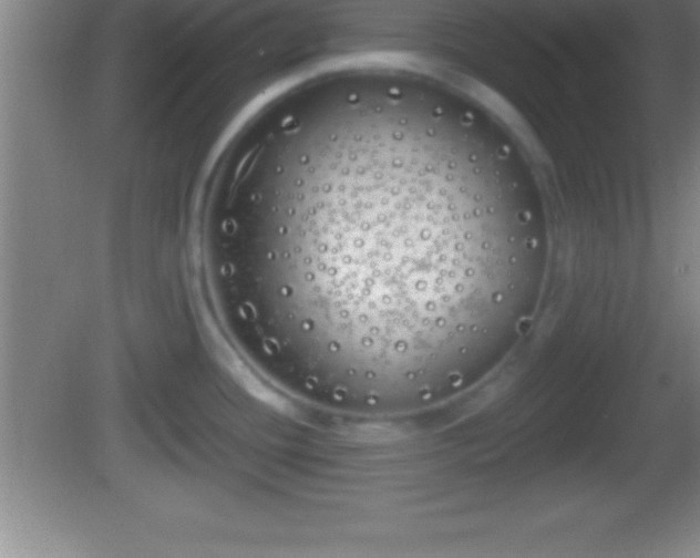 X0000081601436200701221125