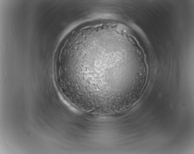 X0000081601439200701221125