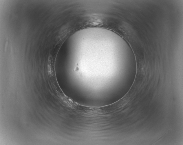 X0000081601442200701221124