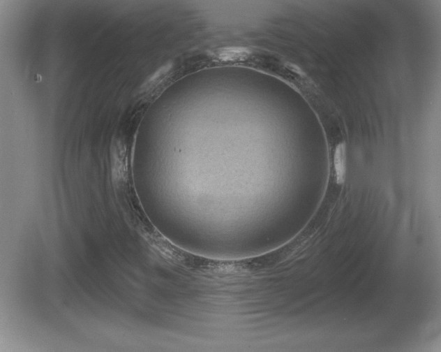 X0000081601443200701221124