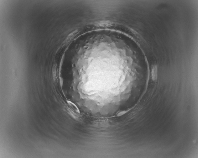 X0000081601444200701221124