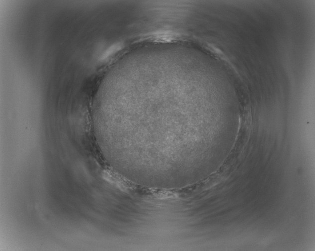 X0000081601446200701221124