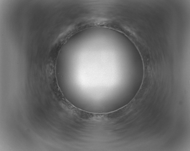 X0000081601447200701221124