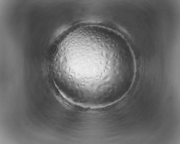 X0000081601448200701221124