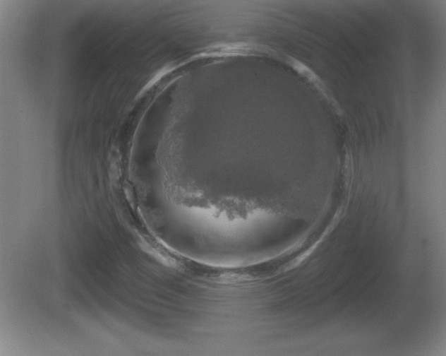 X0000081601449200701221124