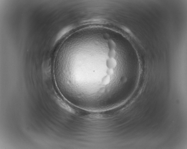 X0000081601450200701221124