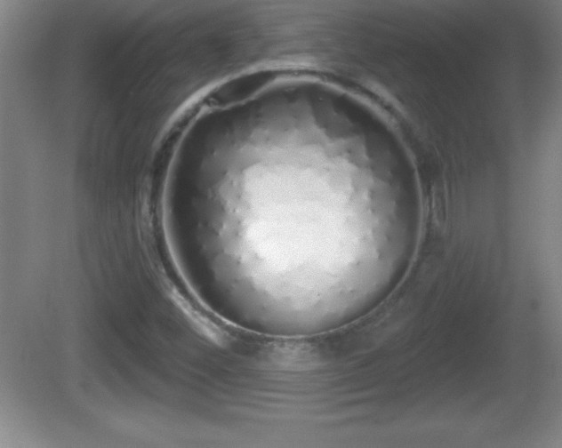 X0000081601452200701221124