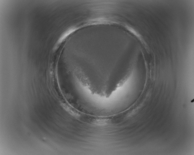 X0000081601453200701221124