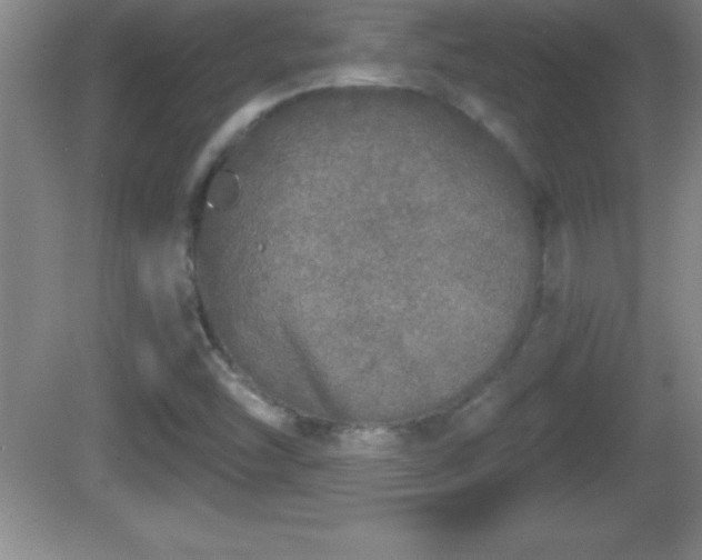 X0000081601454200701221124