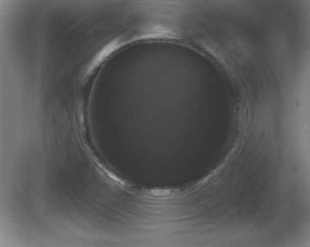 X0000081601455200701221124