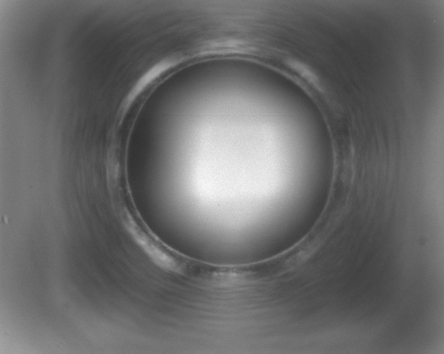 X0000081601458200701221124