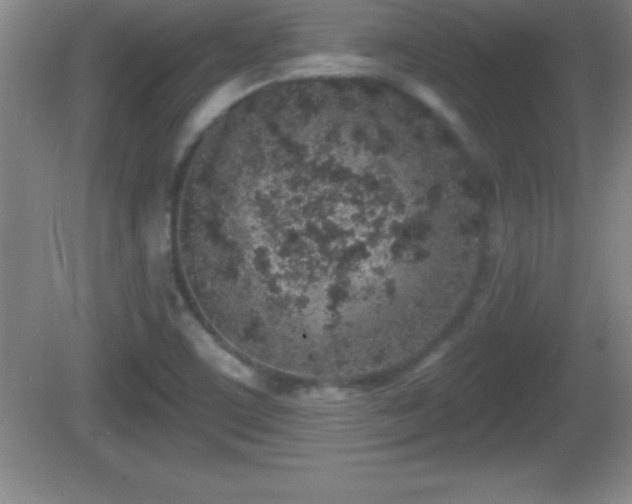 X0000081601459200701221124