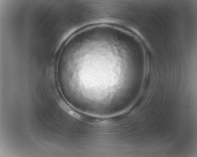 X0000081601460200701221124