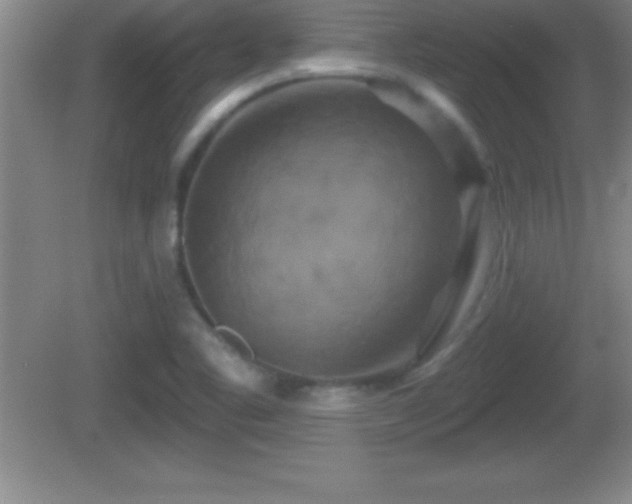 X0000081601461200701221124