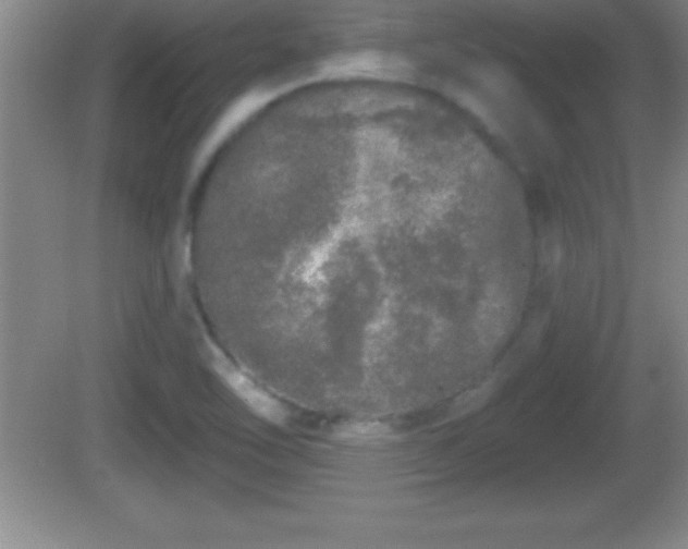 X0000081601462200701221124