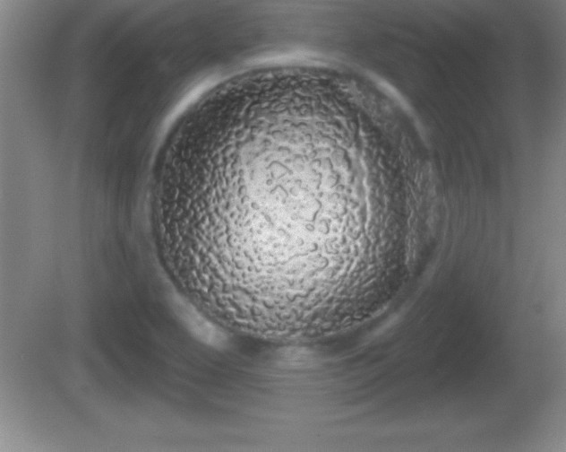 X0000081601463200701221124