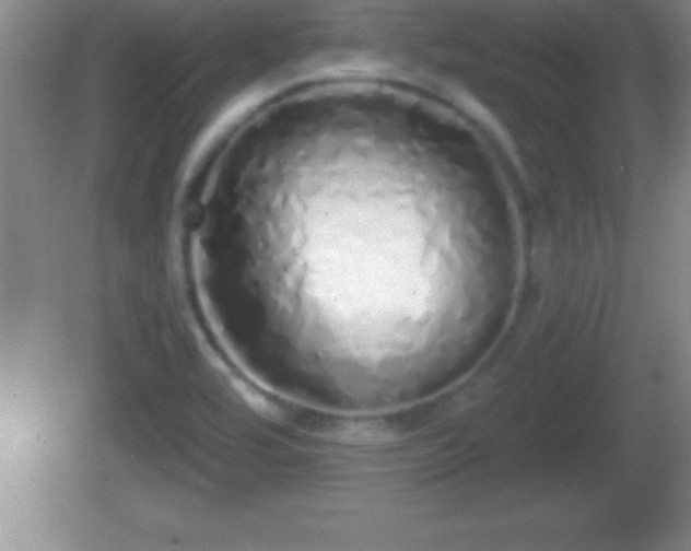 X0000081601464200701221124