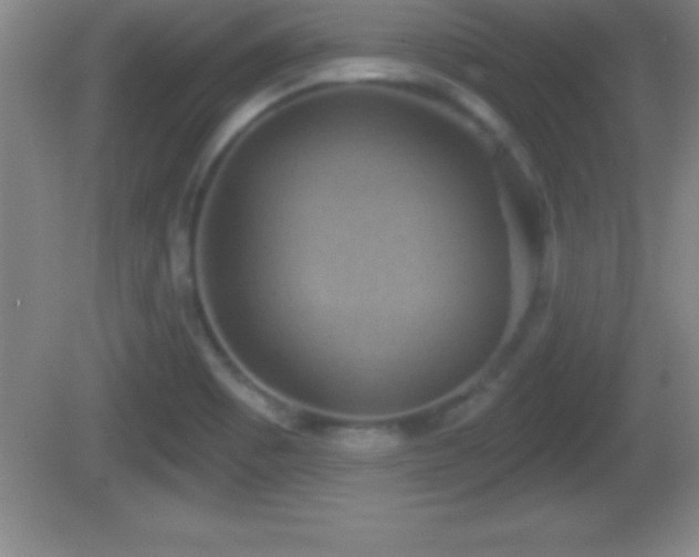 X0000081601465200701221124