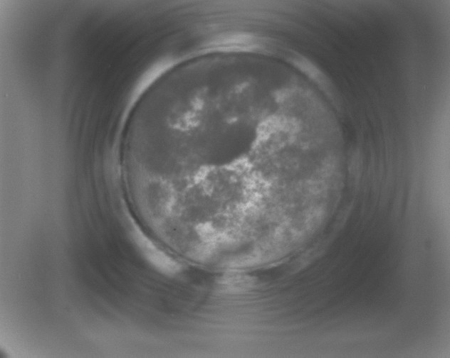 X0000081601466200701221124