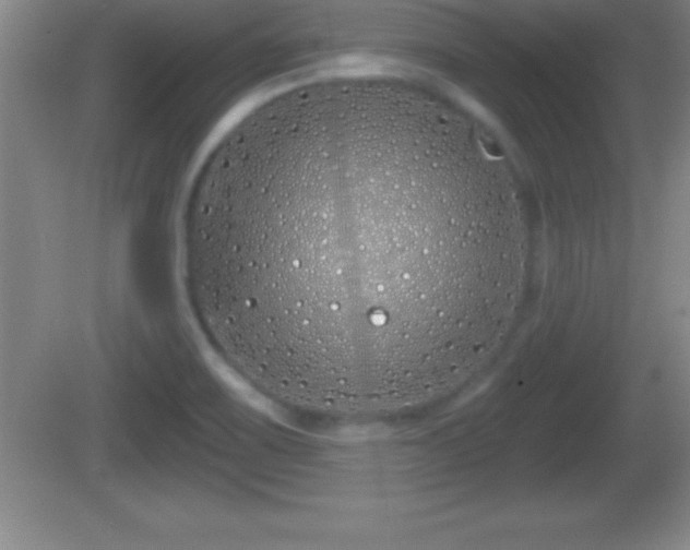 X0000081601467200701221124