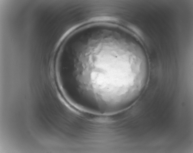 X0000081601468200701221124