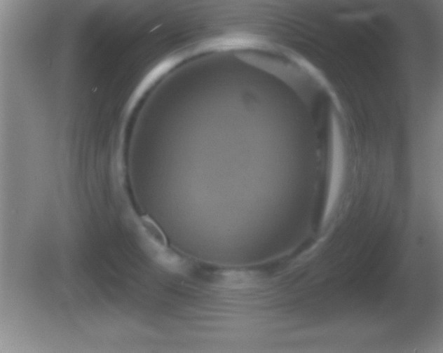 X0000081601469200701221124